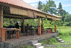 Warung Telaga