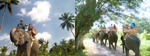 Bali Elephant Camp