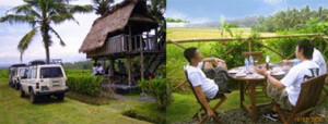 Bali Tropical Safaris