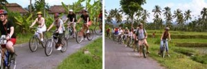Balinese Village Cycling